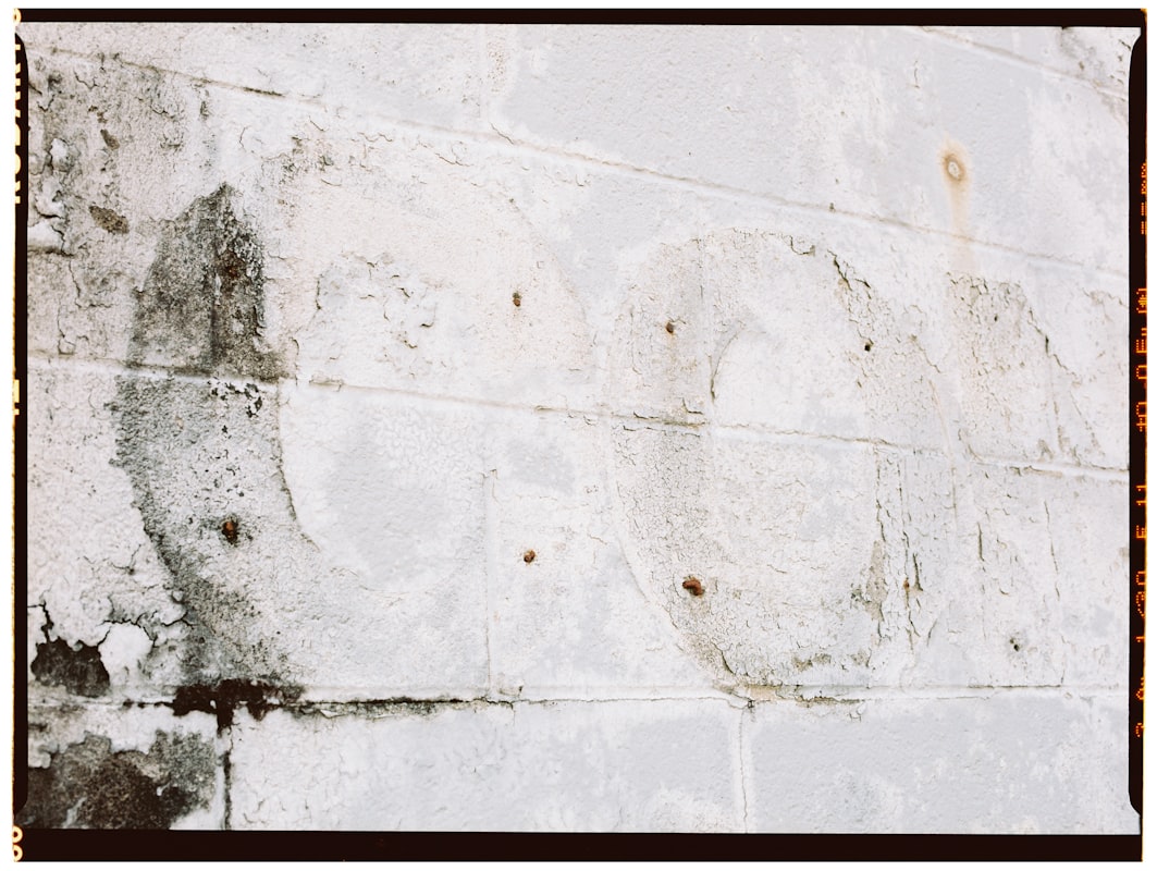 Mold Remediation service in Port Huron, MI
